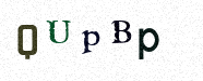 Visual Confirmation Security Code