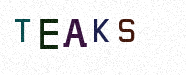 Visual Confirmation Security Code