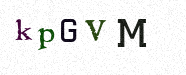 Visual Confirmation Security Code