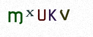 Visual Confirmation Security Code