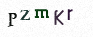 Visual Confirmation Security Code