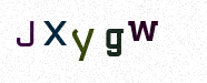 Visual Confirmation Security Code