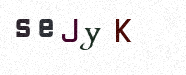 Visual Confirmation Security Code