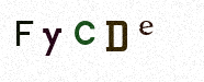 Visual Confirmation Security Code
