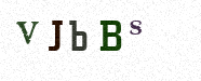 Visual Confirmation Security Code