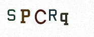 Visual Confirmation Security Code