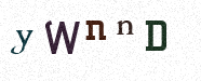 Visual Confirmation Security Code