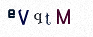 Visual Confirmation Security Code