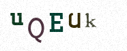 Visual Confirmation Security Code