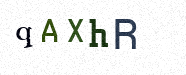 Visual Confirmation Security Code