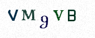 Visual Confirmation Security Code