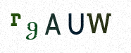 Visual Confirmation Security Code