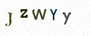 Visual Confirmation Security Code