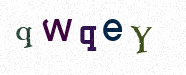 Visual Confirmation Security Code
