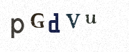 Visual Confirmation Security Code