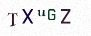 Visual Confirmation Security Code