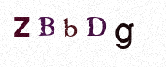 Visual Confirmation Security Code